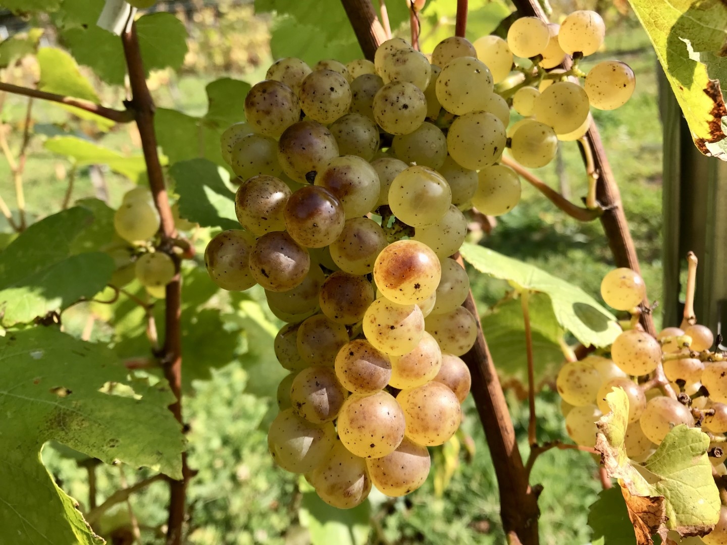 20221026_ks_wine4.jpg