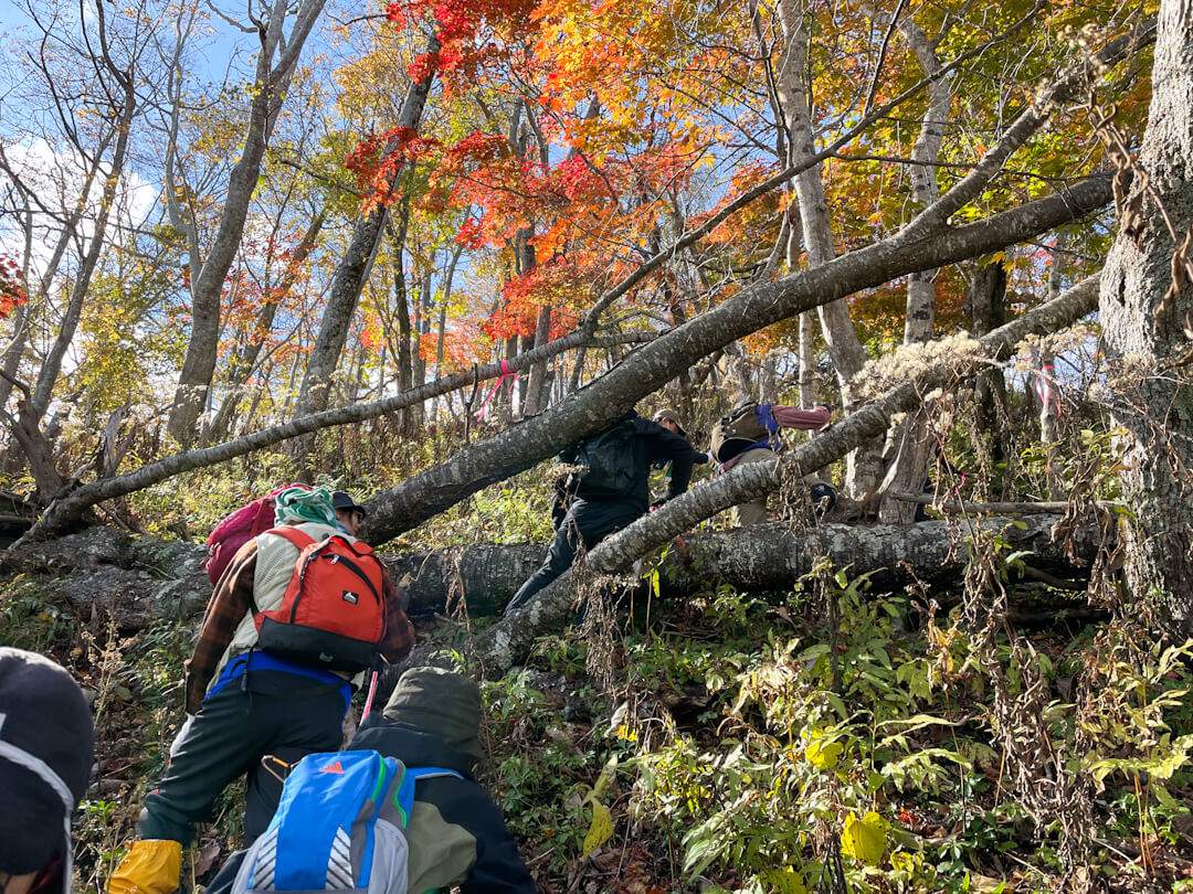211101_mf_nishiyama05.JPG
