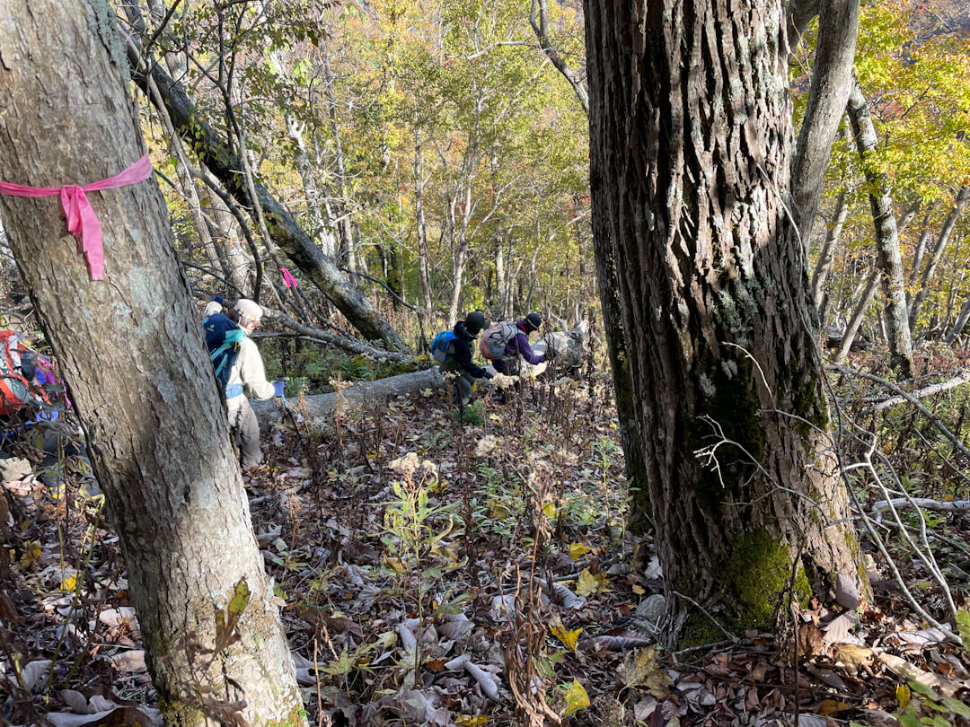 211101_mf_nishiyama07.JPG