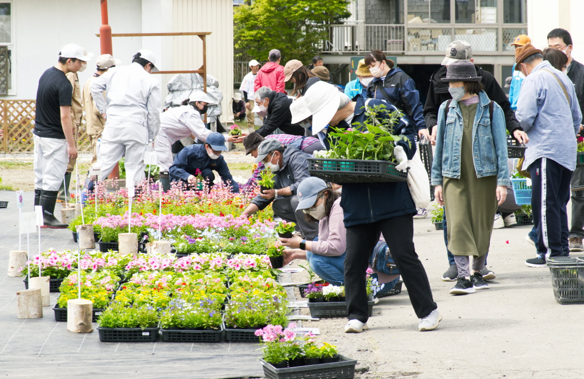 240516_tk_asaichi.jpg