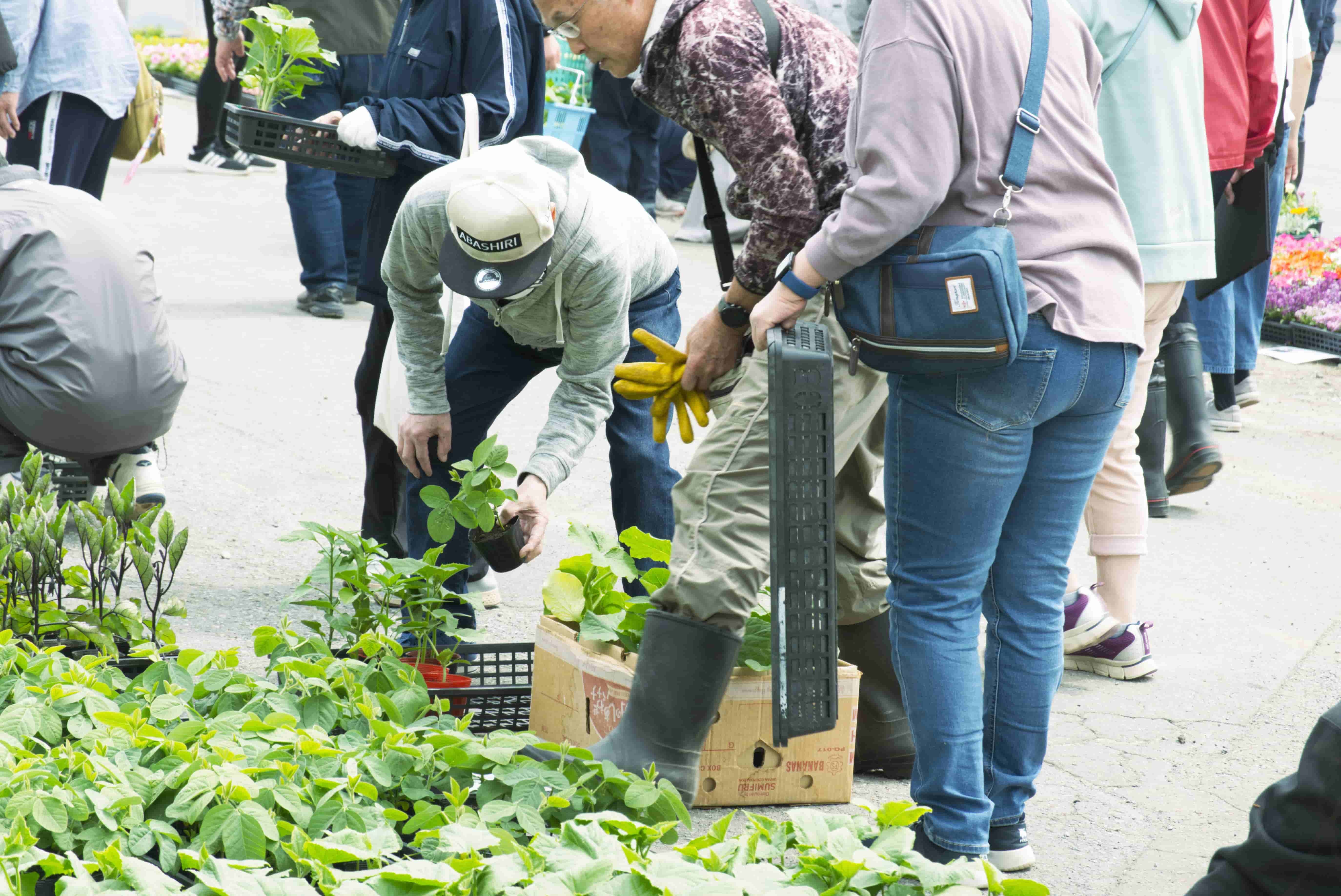 240516_tk_asaichi2.jpg