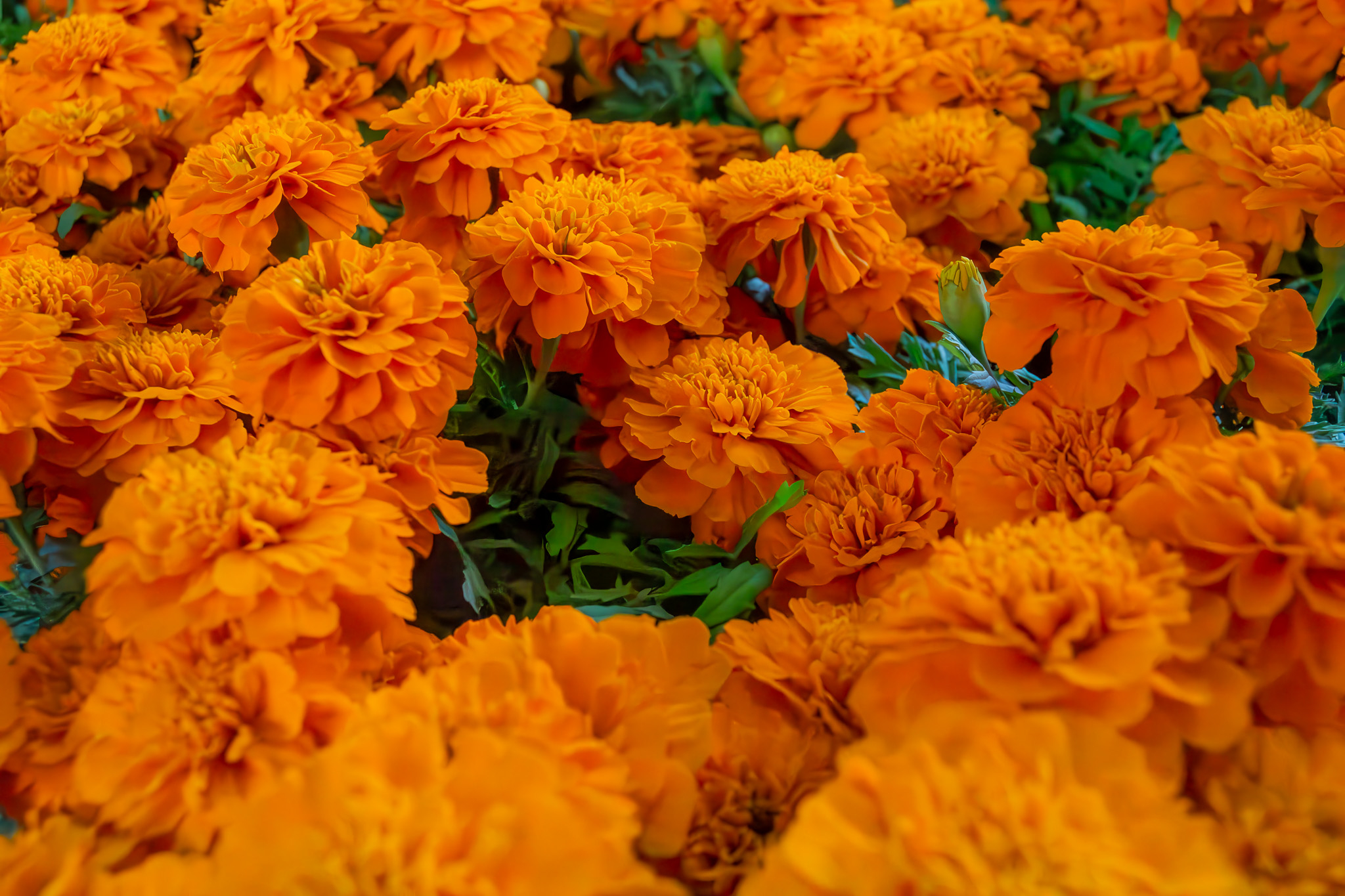 250510_kt_03.jpg