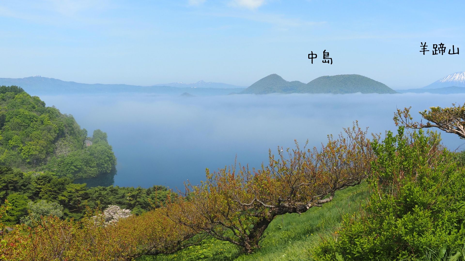 260520_kt_04.jpg