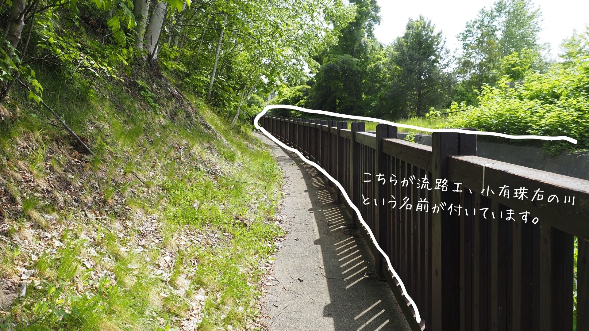 260619_kt_02.jpg