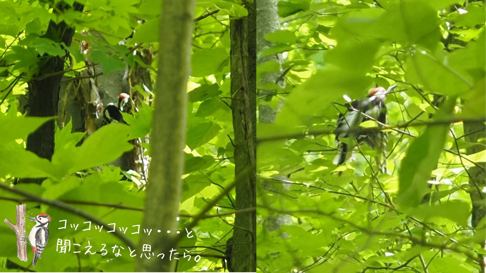 260619_kt_05.jpg