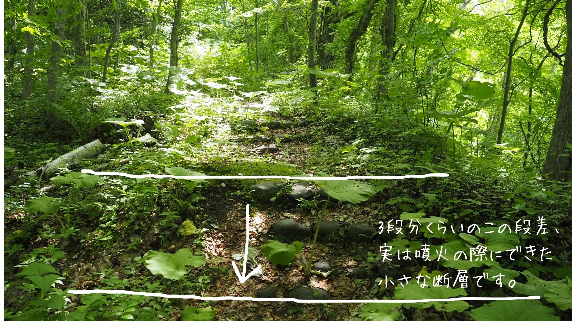 260619_kt_07.jpg