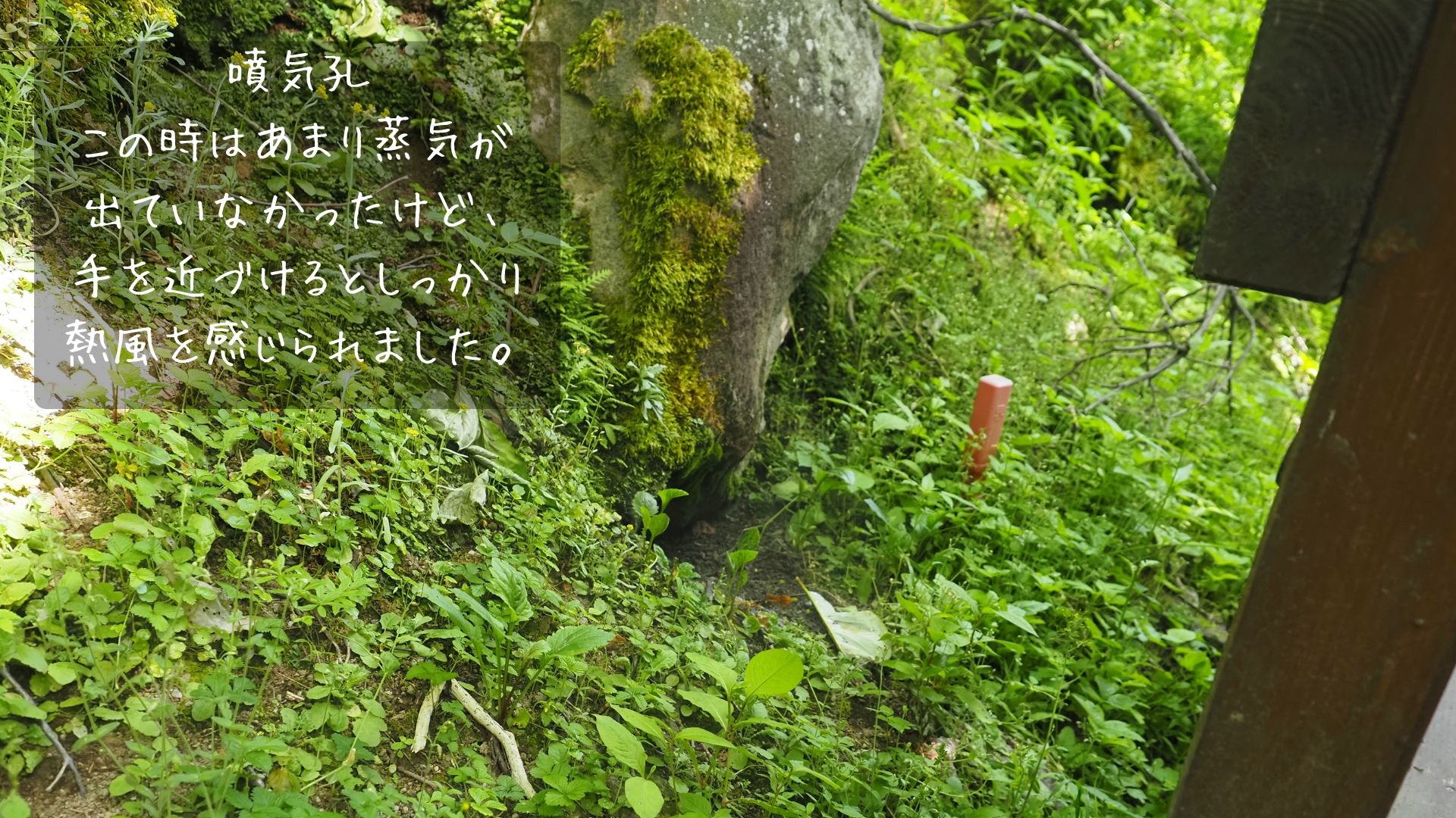260619_kt_08.jpg