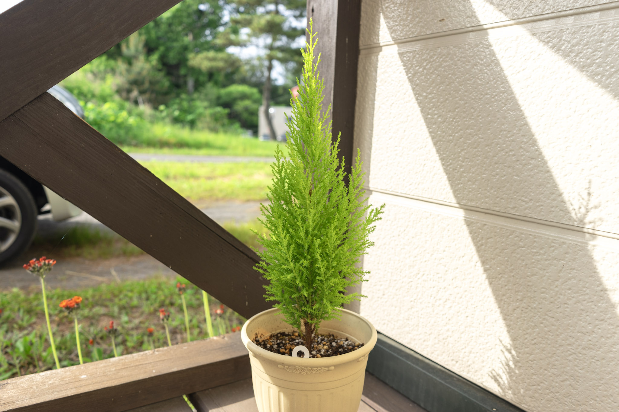 260625_ym_02.jpg