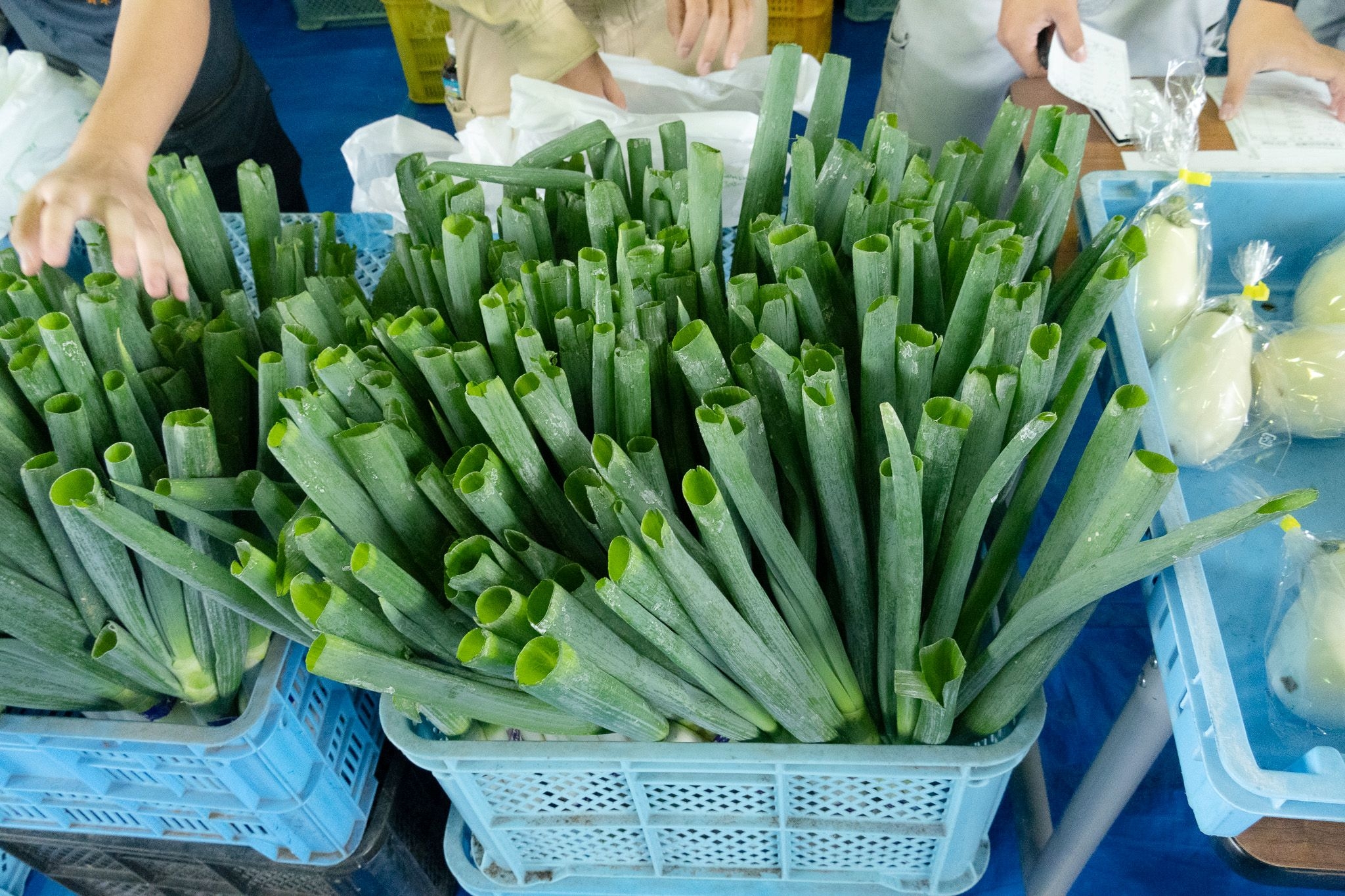 260930_ym_06.jpg
