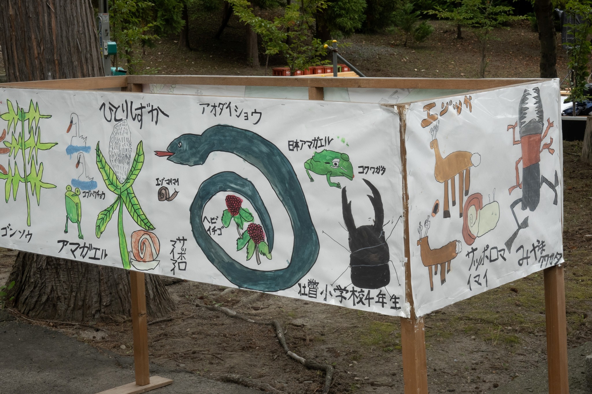 261005_ym_04.jpg
