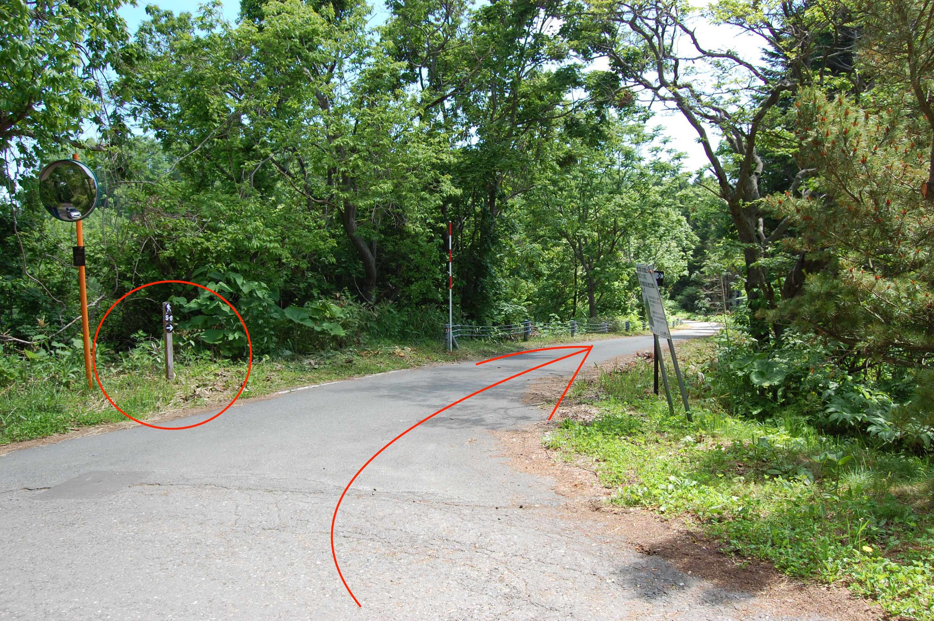 2017.6.22.footpath.15.jpg