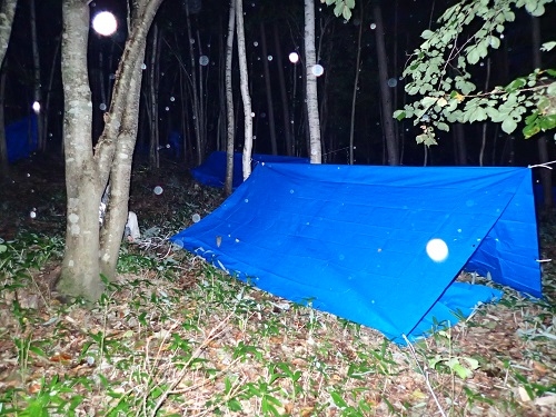 72Hsurvival.20181017.3.JPG