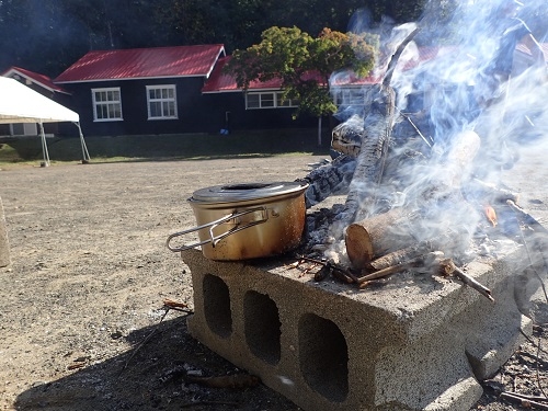 72Hsurvival.20181017.6.JPG