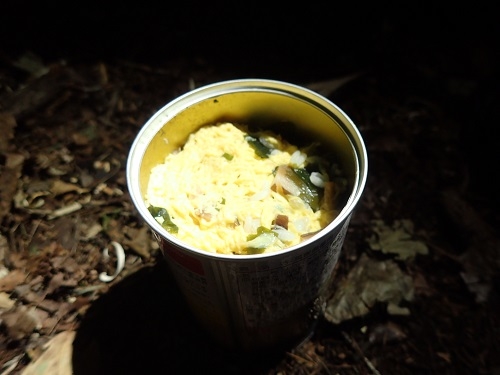 72Hsurvival.20181017.8.JPG