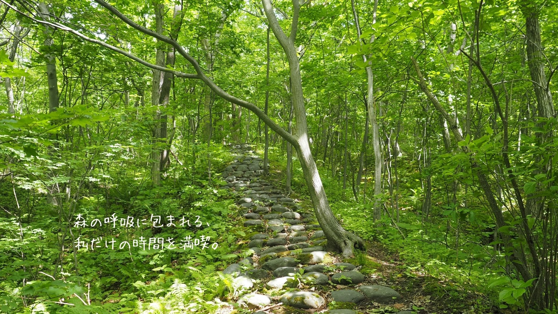 260619_kt_04a.jpg