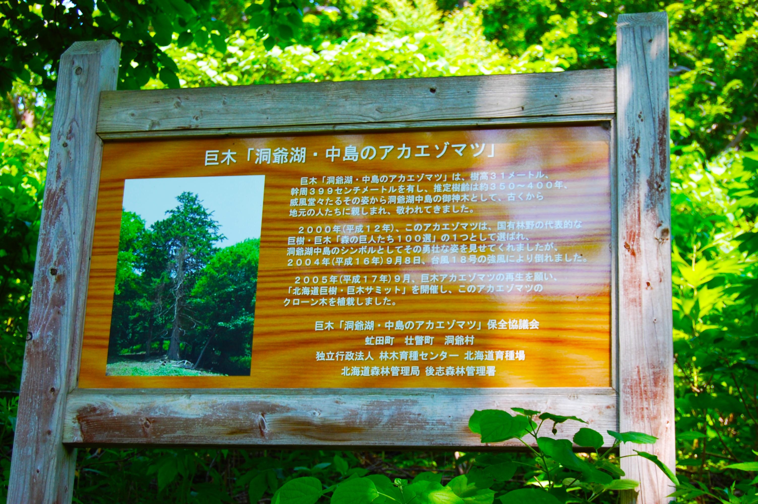 foot.path.nakajima11.part2.jpg