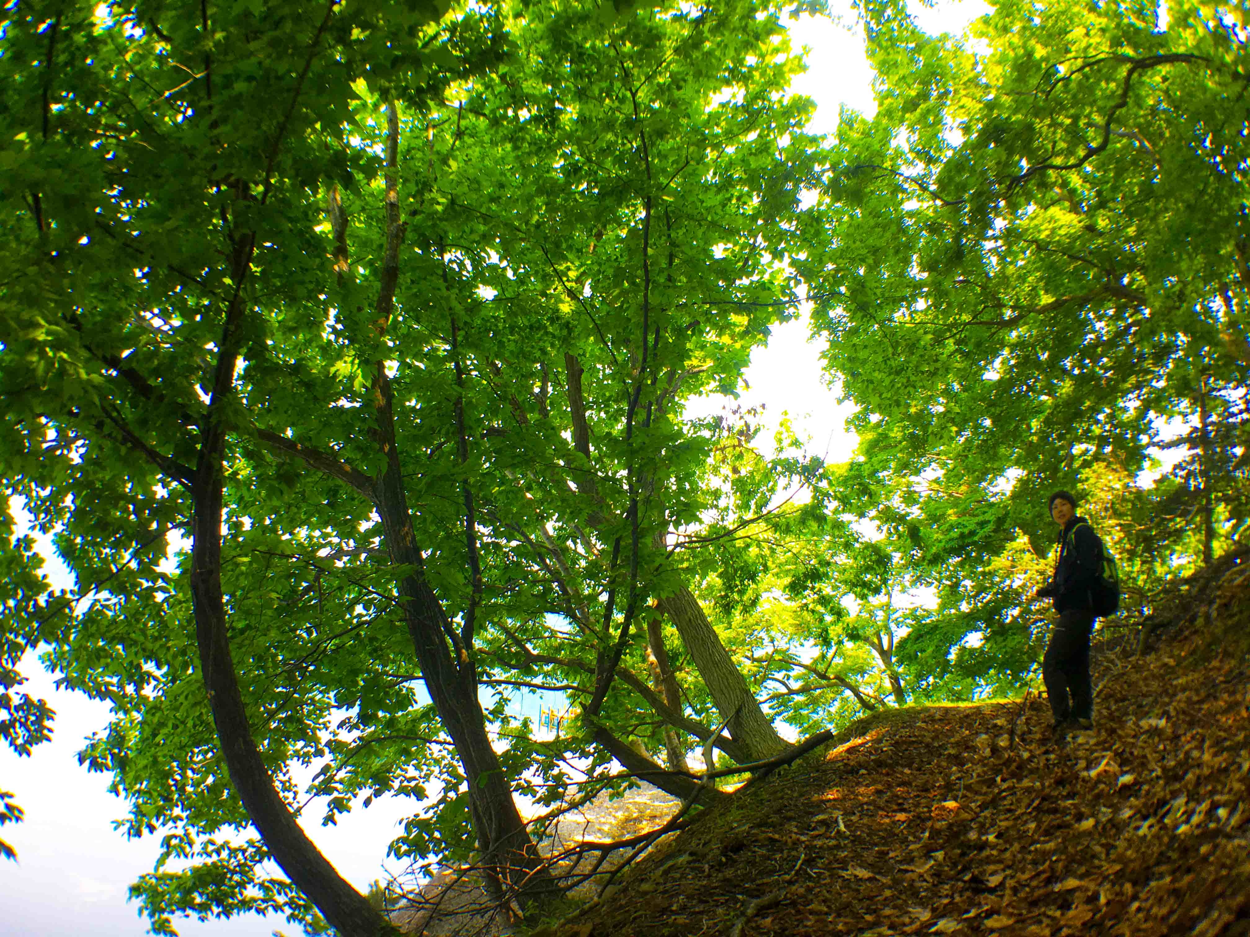 foot.path.nakajima16.jpg