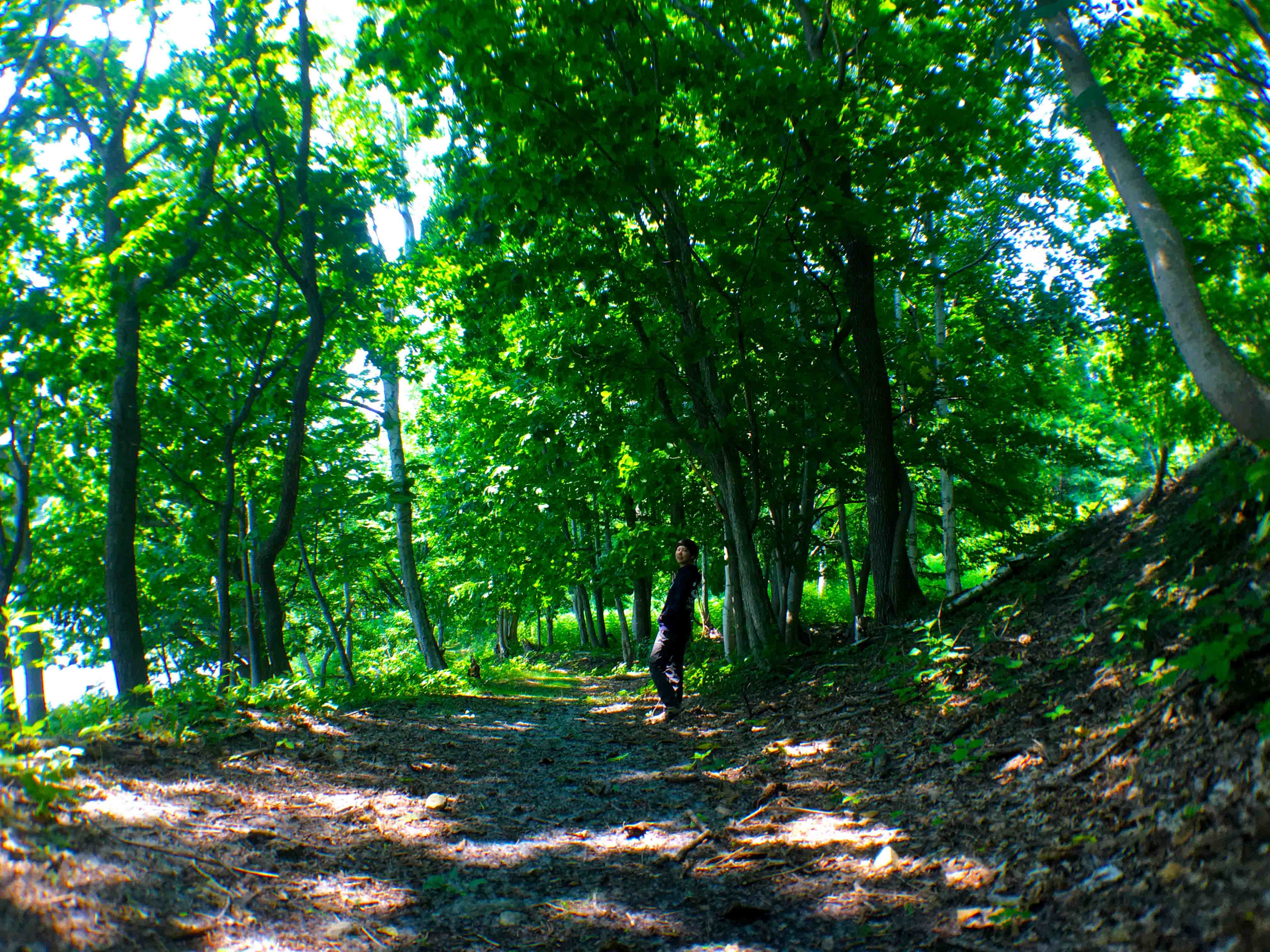 foot.path.nakajima19.jpg