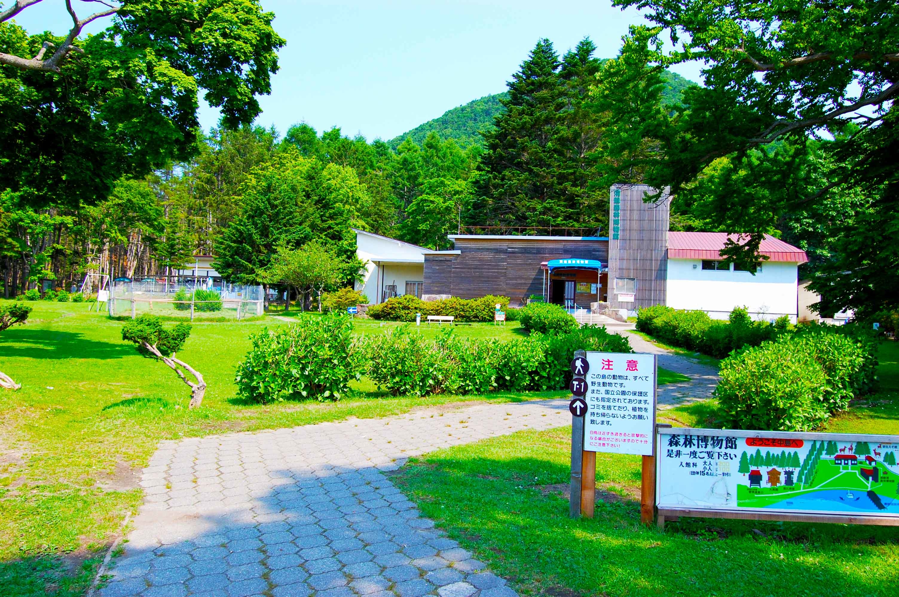 foot.path.nakajima2.jpg