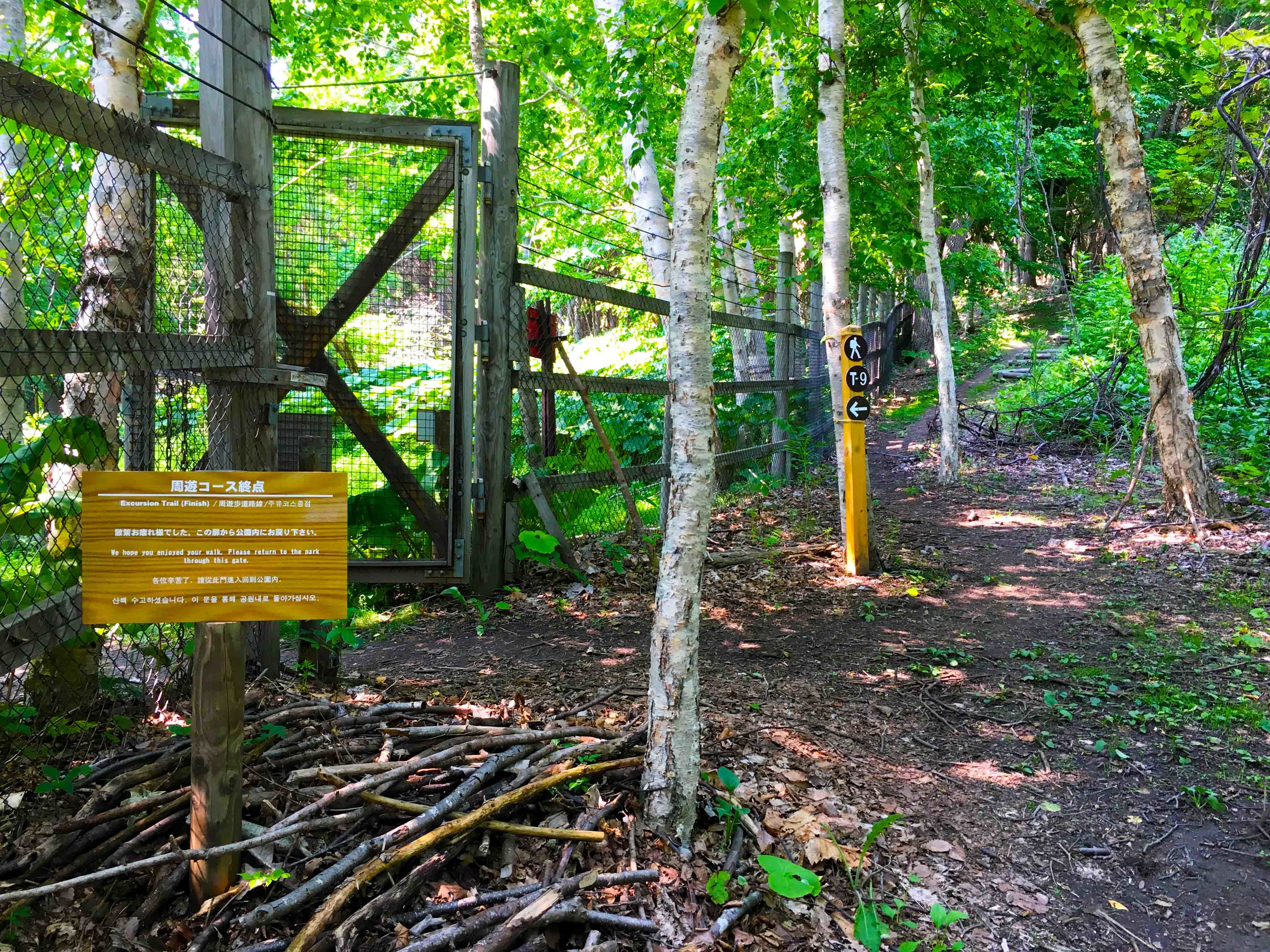foot.path.nakajima20.jpg