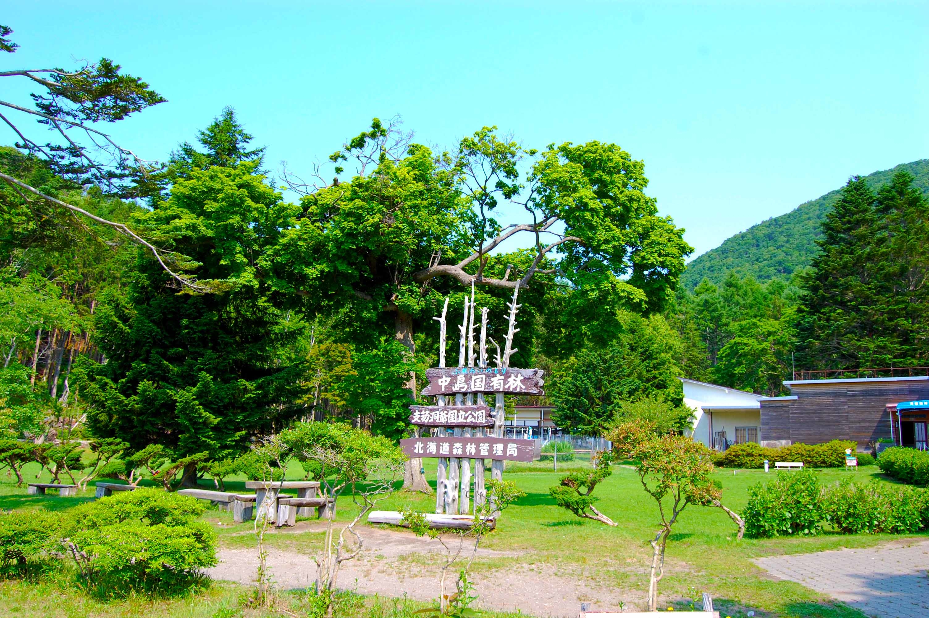 foot.path.nakajima21.jpg