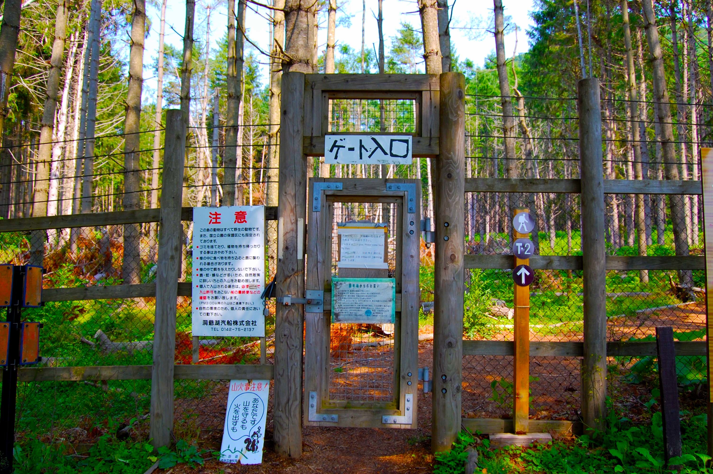 foot.path.nakajima3.jpg