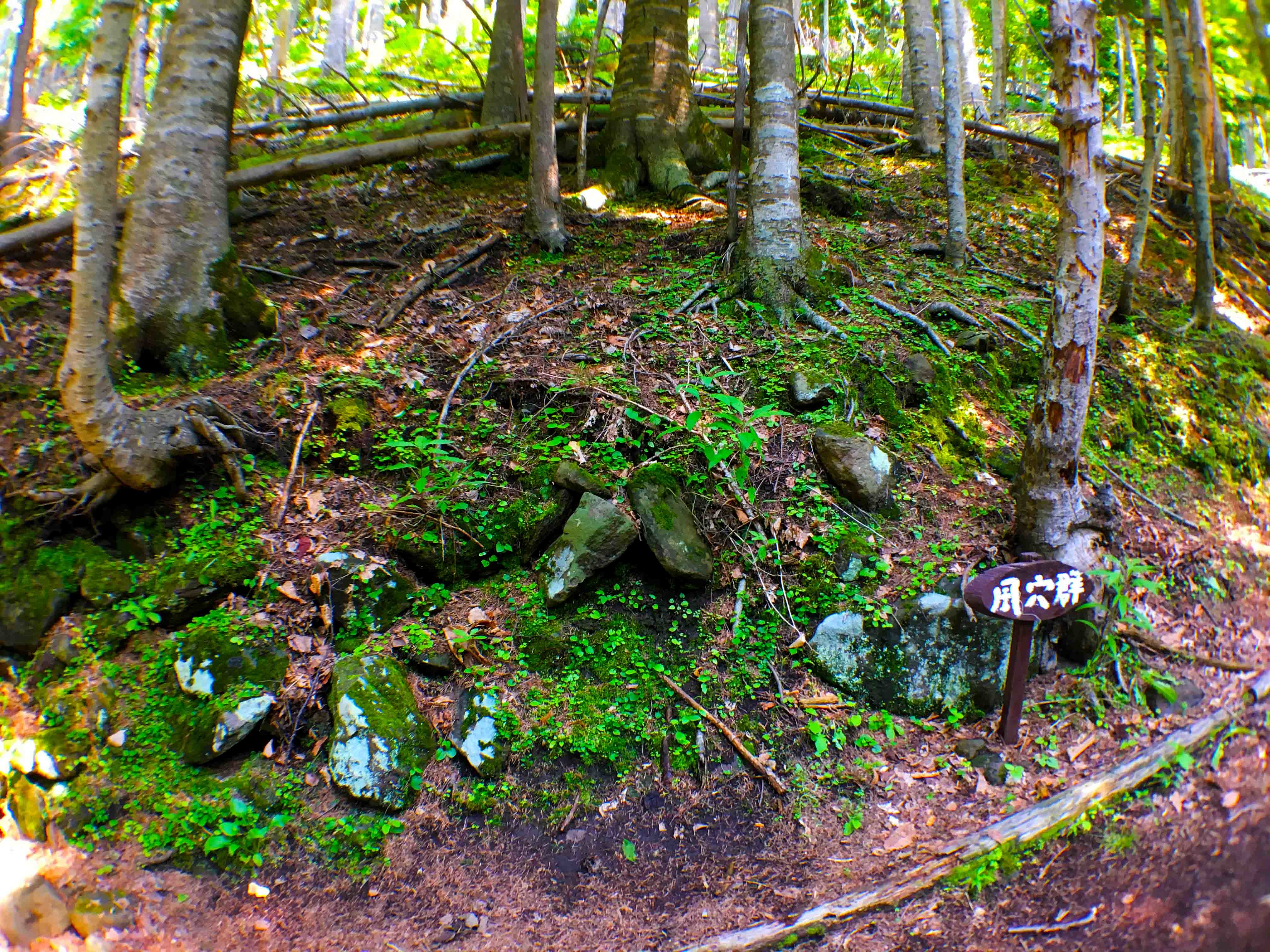 foot.path.nakajima6.jpg