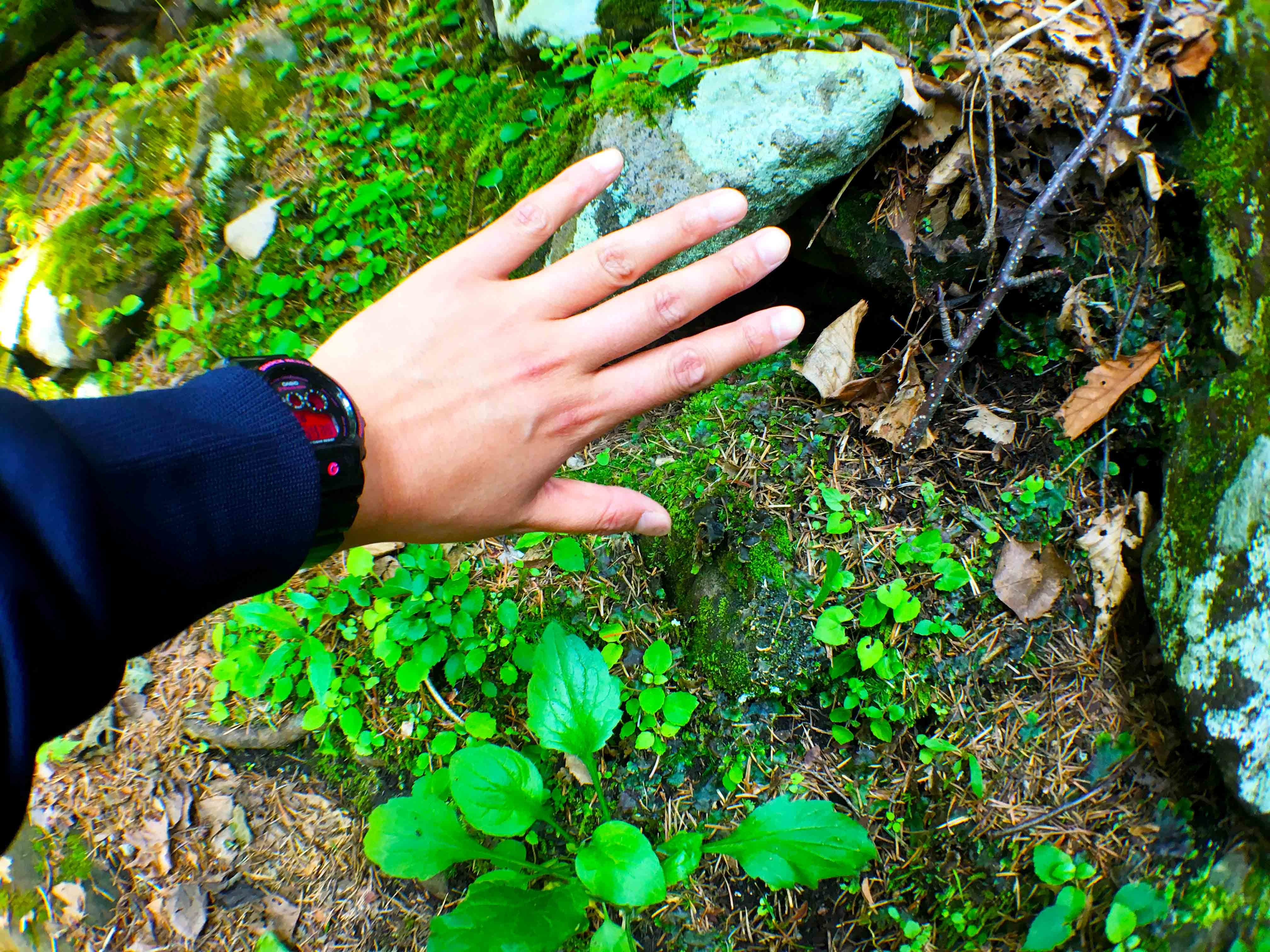 foot.path.nakajima7.jpg