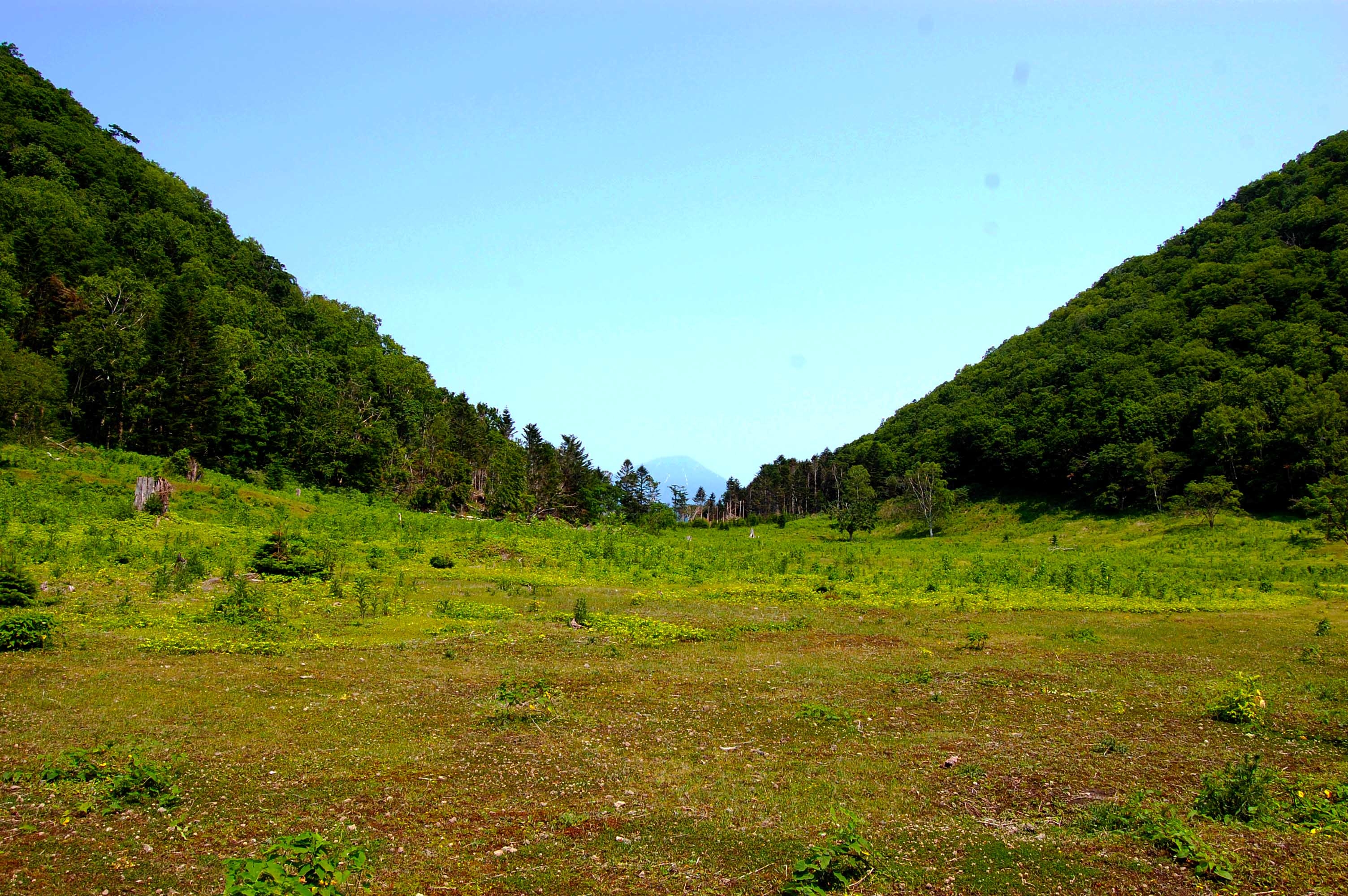 foot.path.nakajima8.jpg