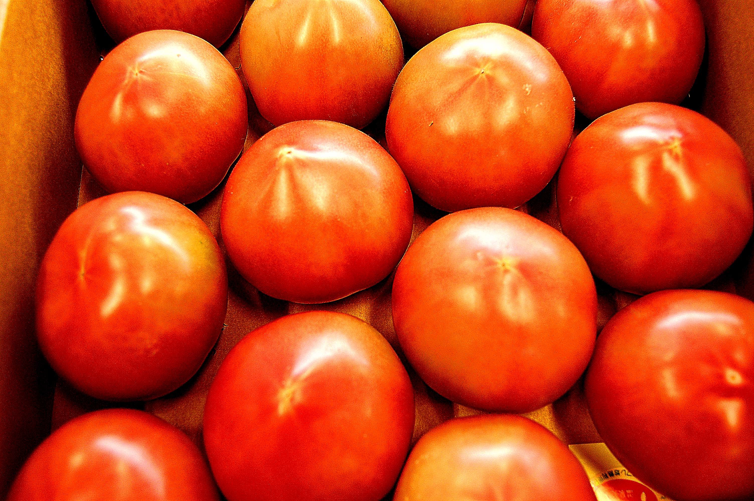 orofuretomato.jpg