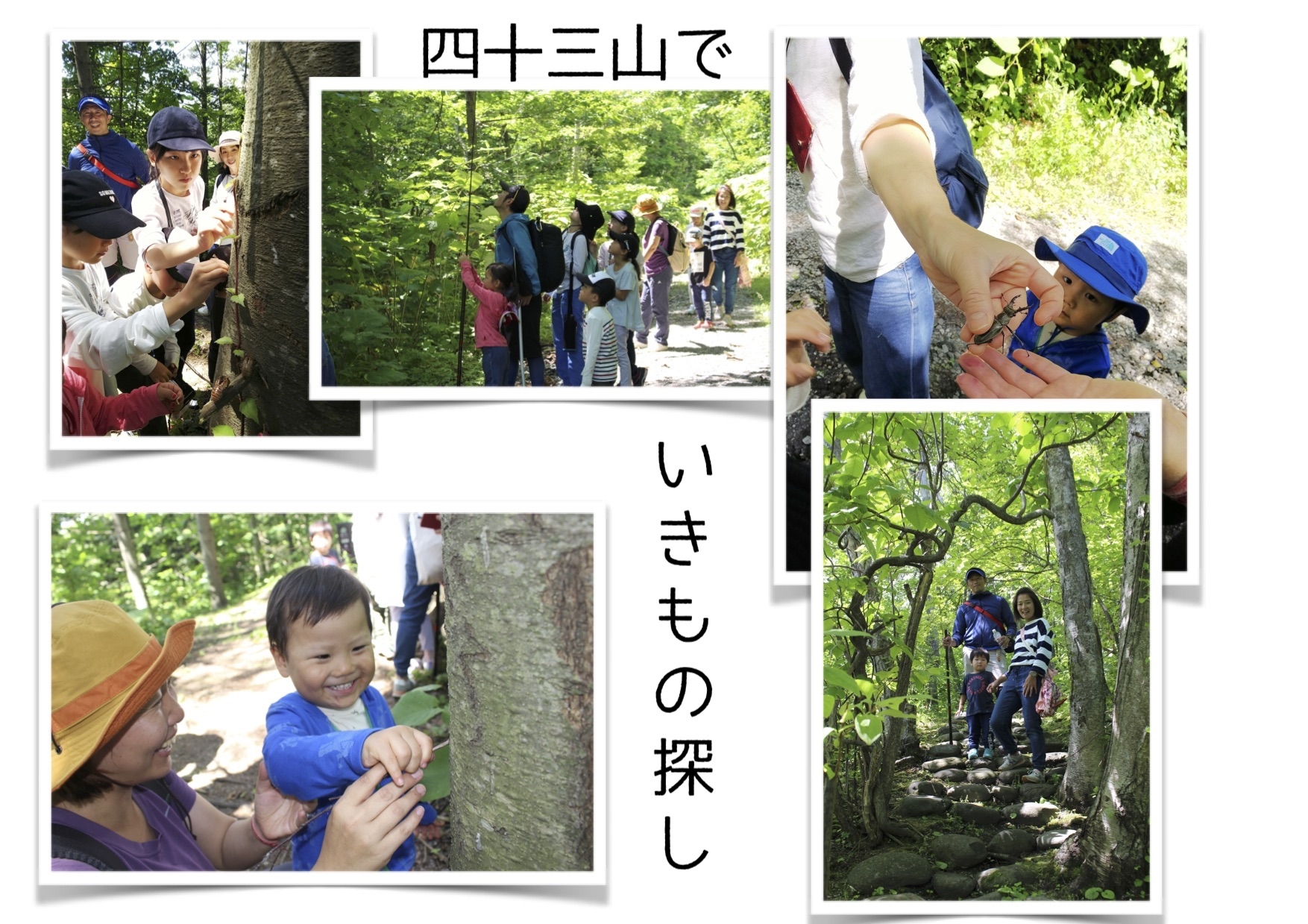 oyako.camp.2018.7.26_9.jpg