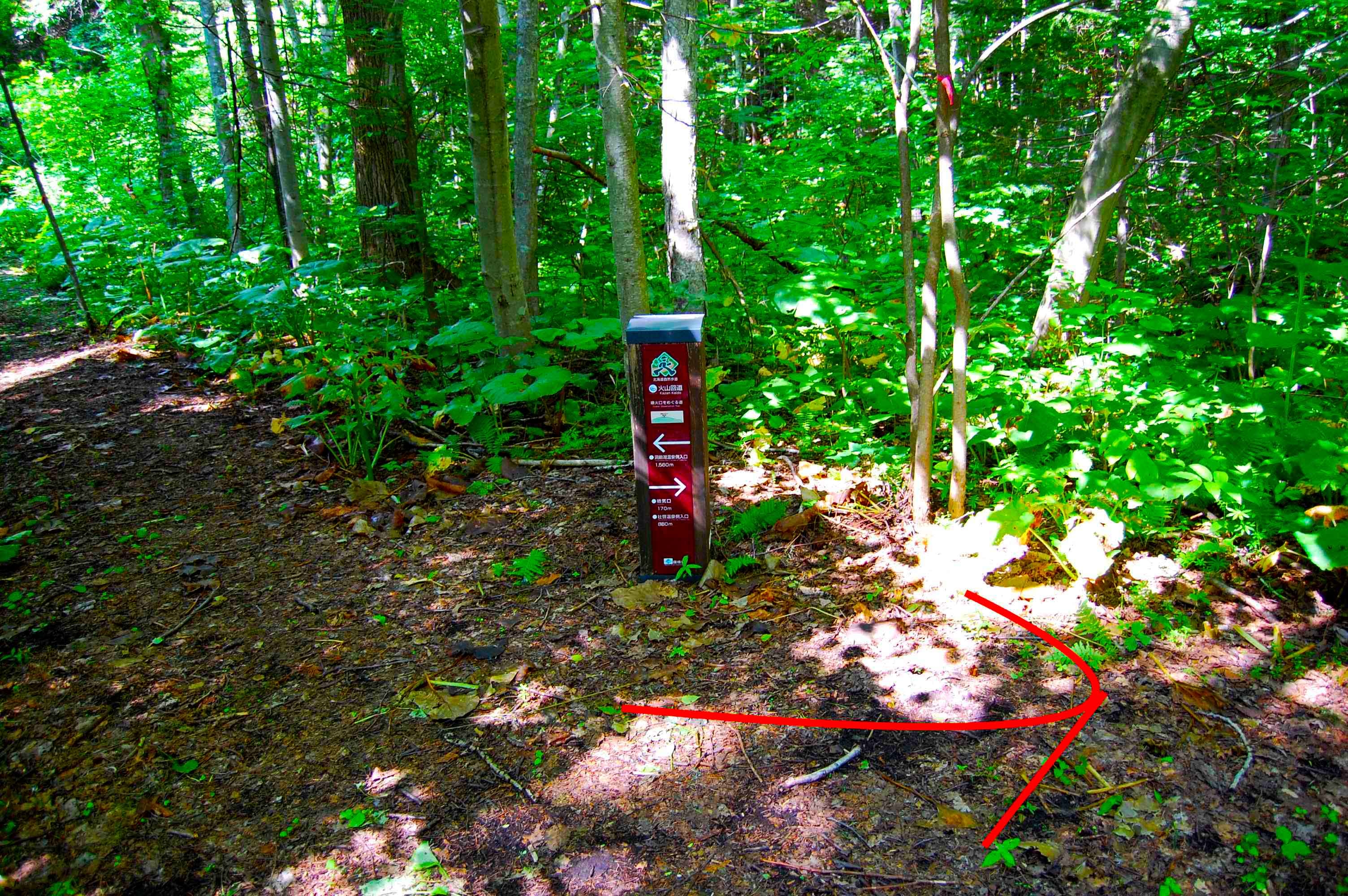 yosomiyama.foot.path.12.jpg