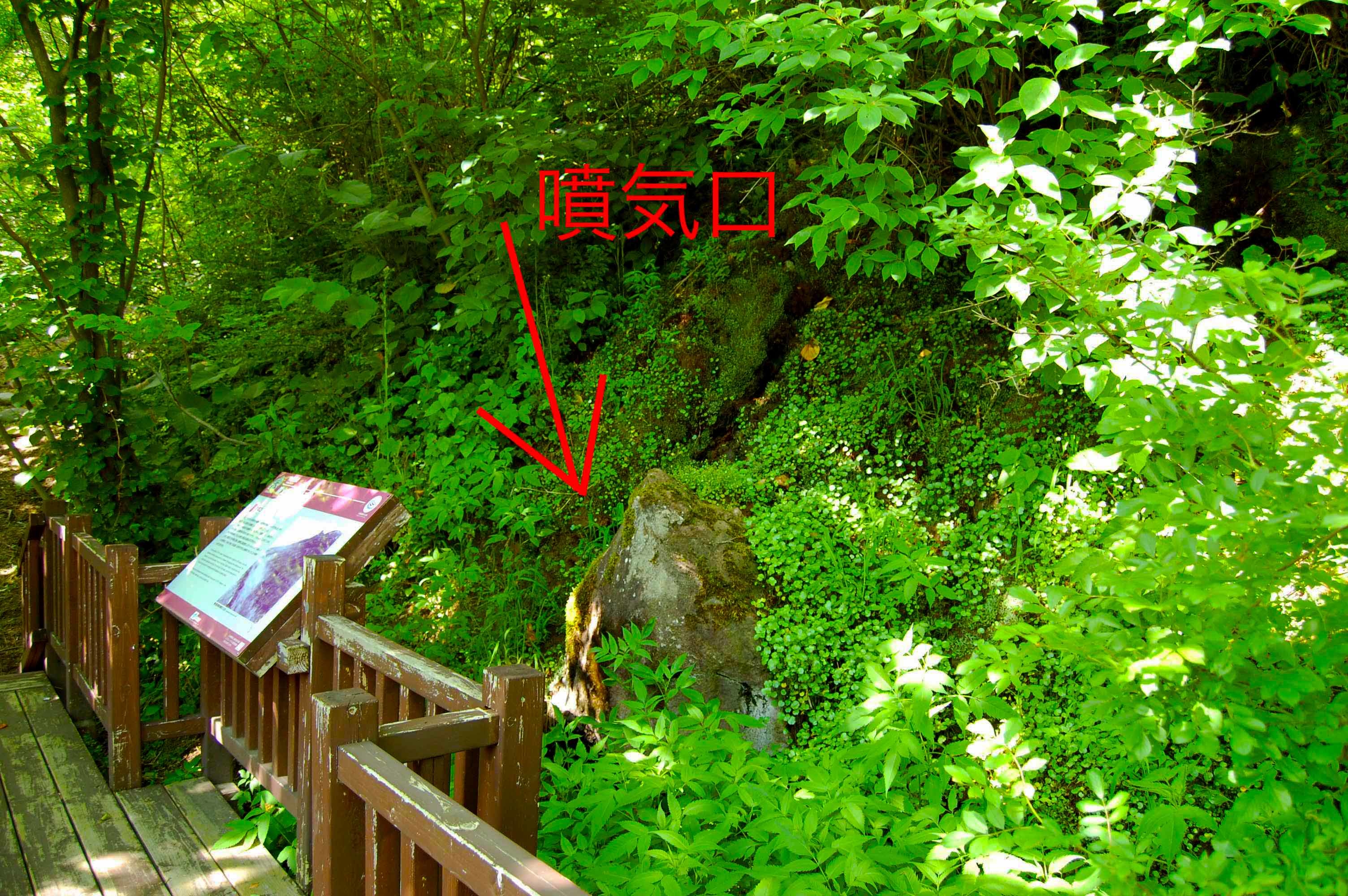 yosomiyama.foot.path.13.jpg