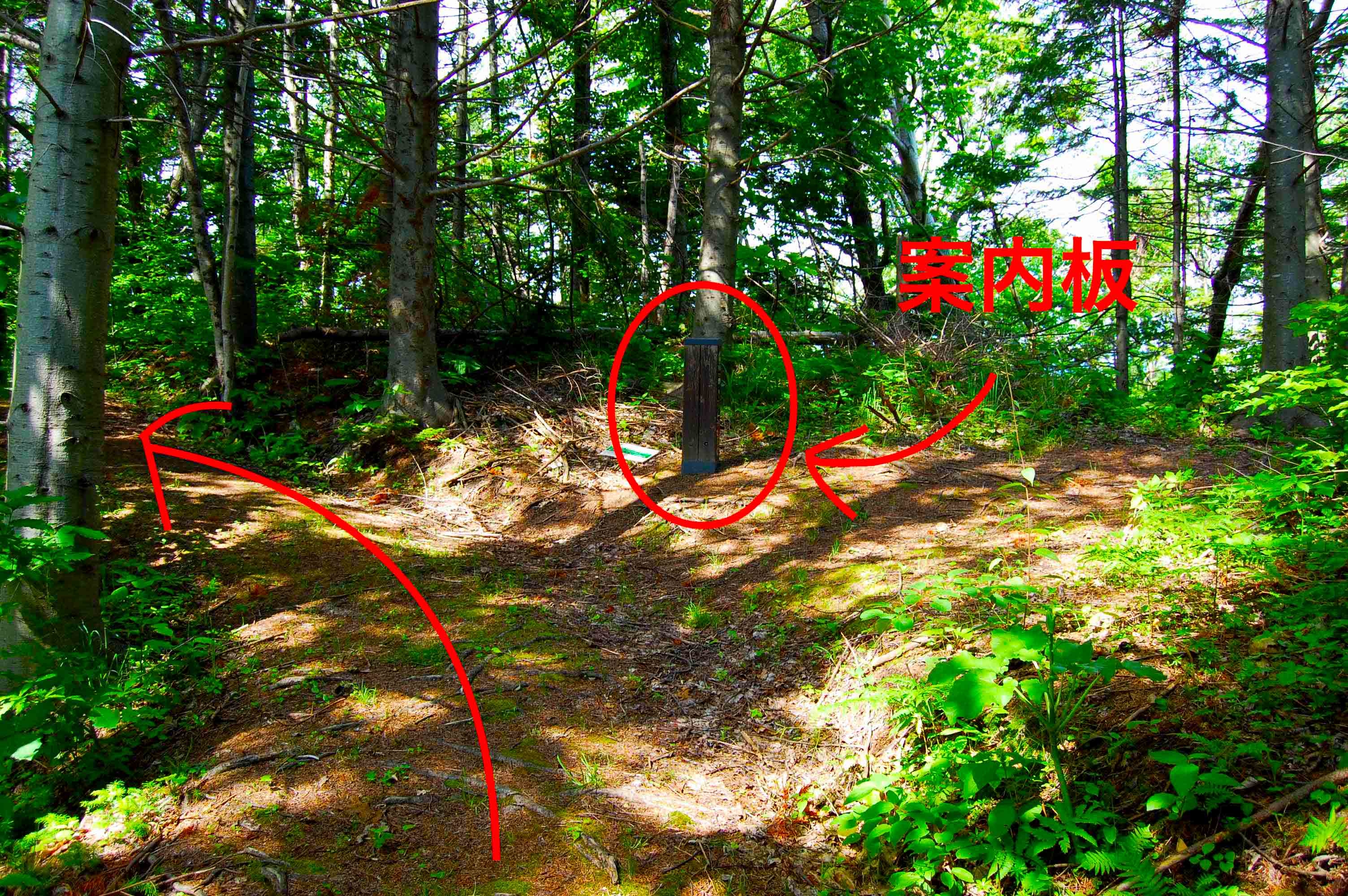 yosomiyama.foot.path.14.jpg