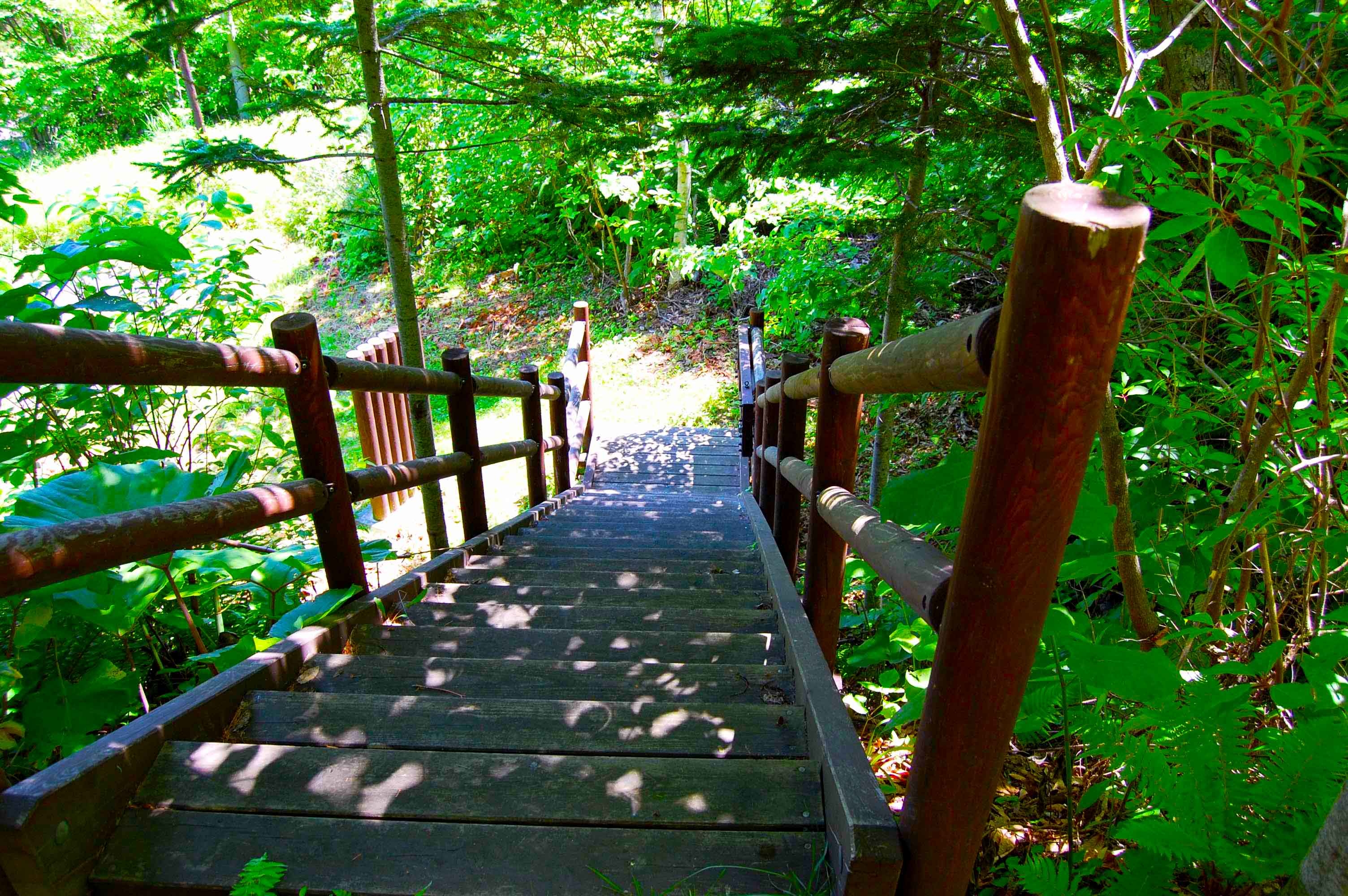 yosomiyama.foot.path.26.jpg