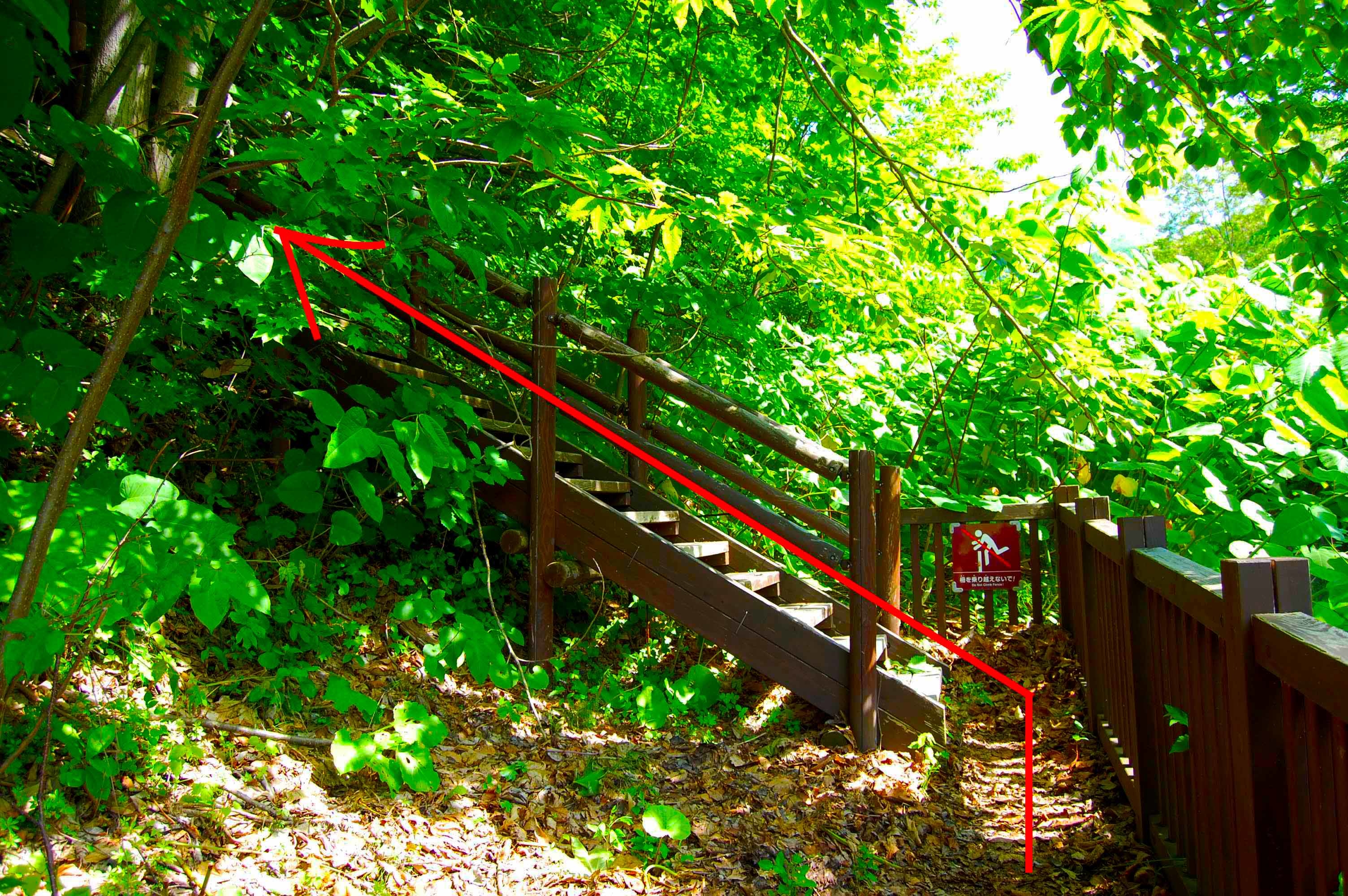 yosomiyama.foot.path.3.jpg