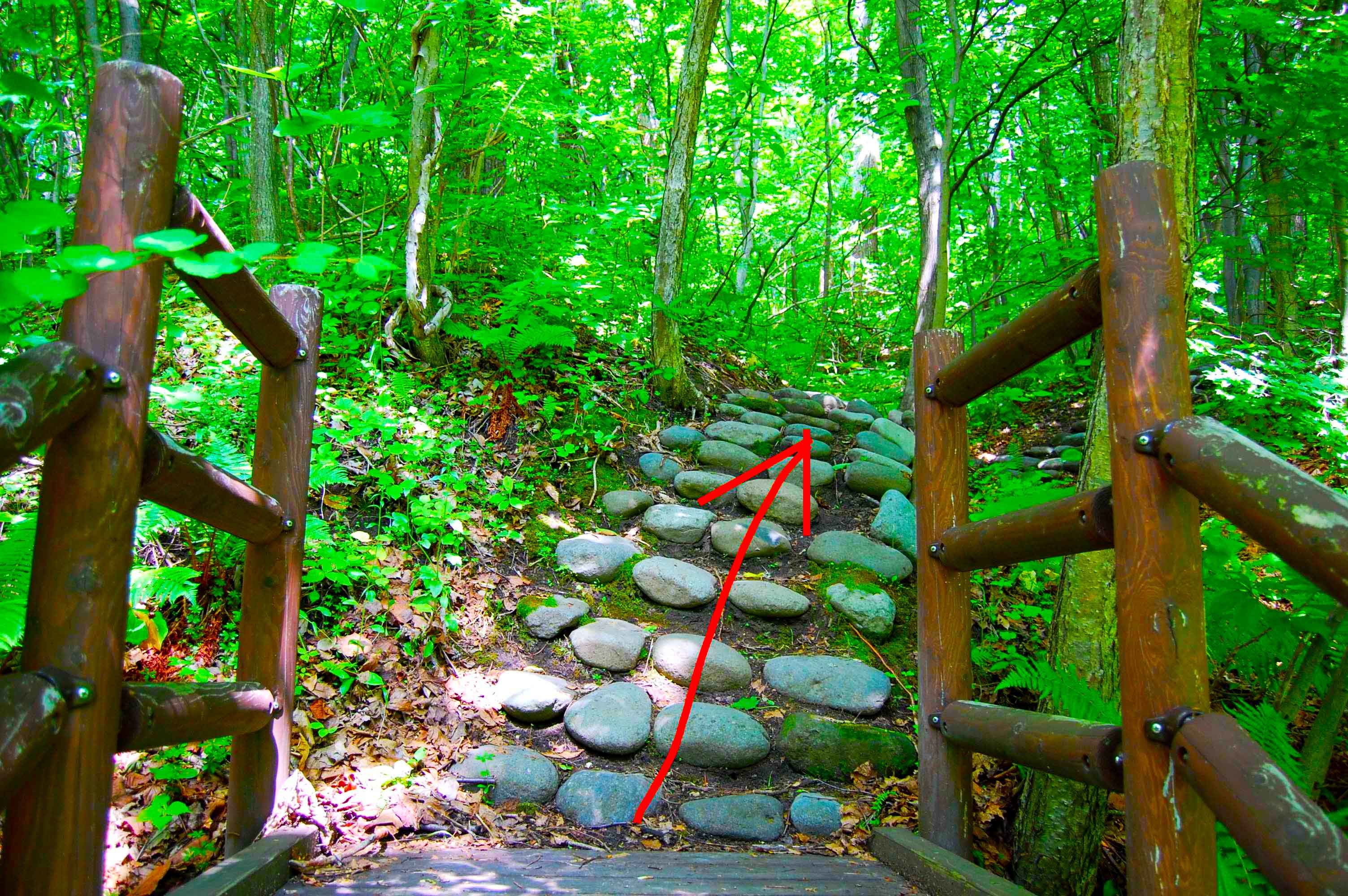yosomiyama.foot.path.4.jpg