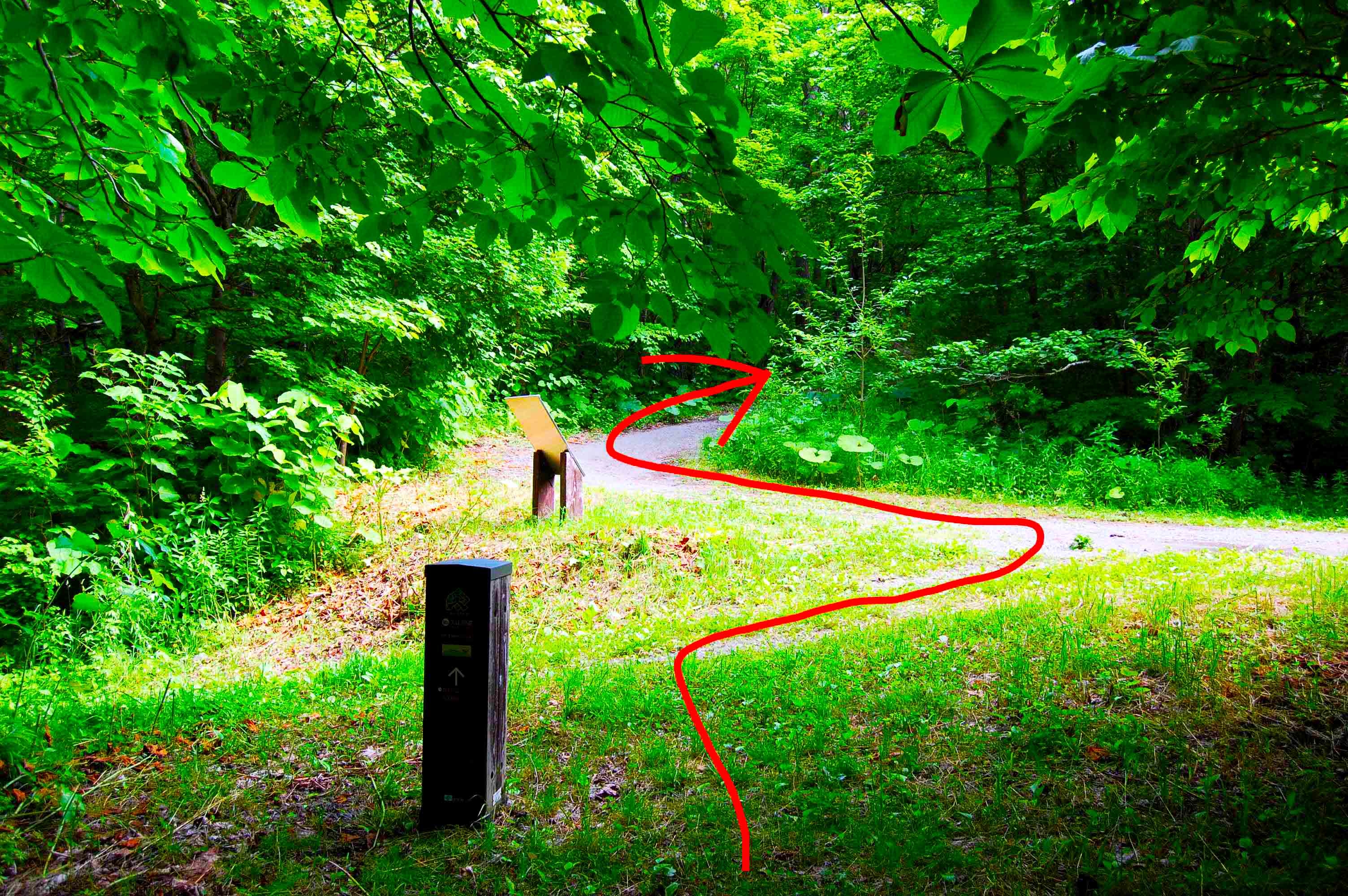 yosomiyama.foot.path.6.jpg