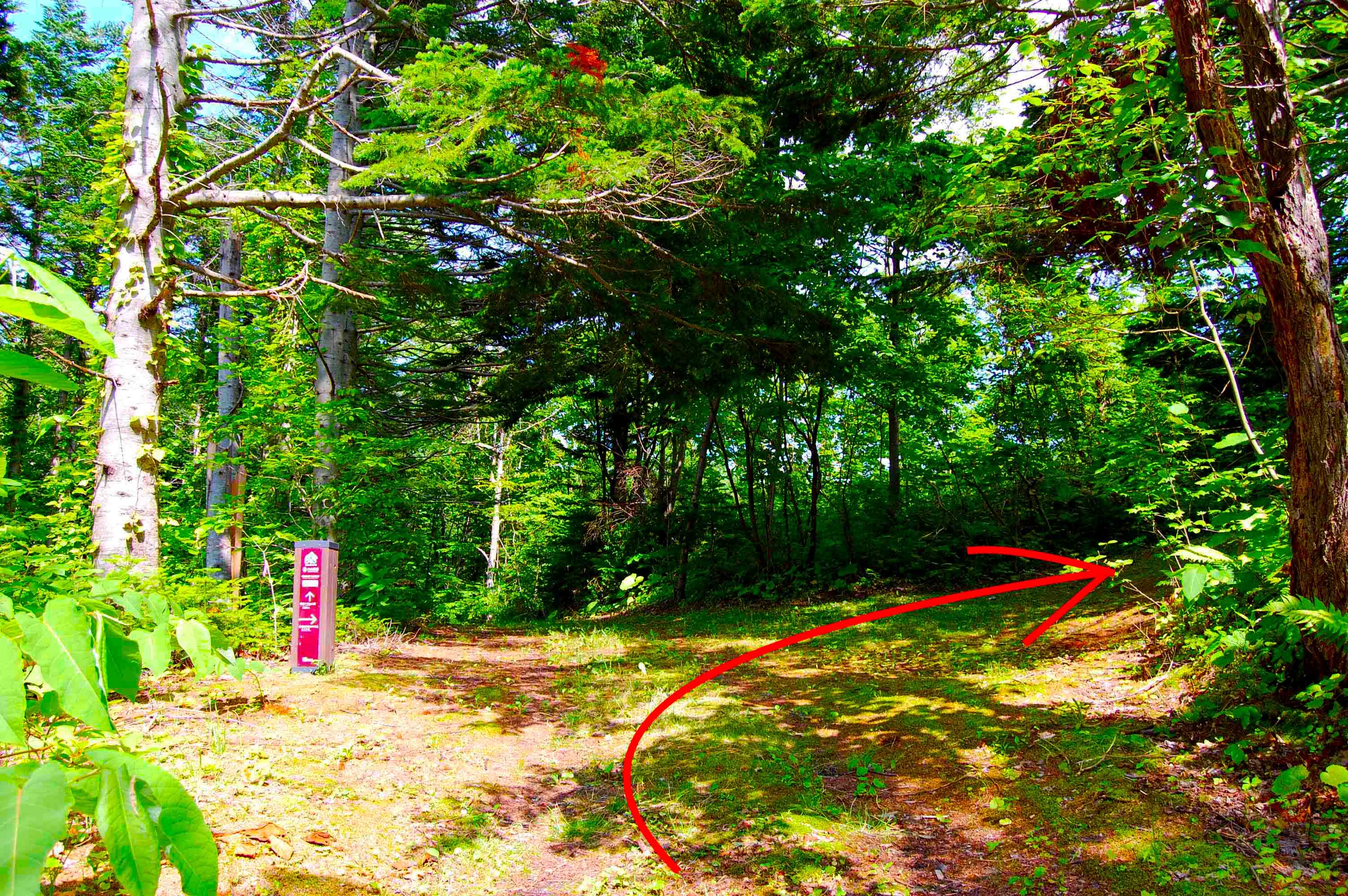 yosomiyama.foot.path.9.jpg
