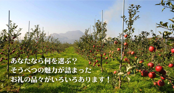 そうべつの魅力が詰まったお礼の品々がいろいろあります！