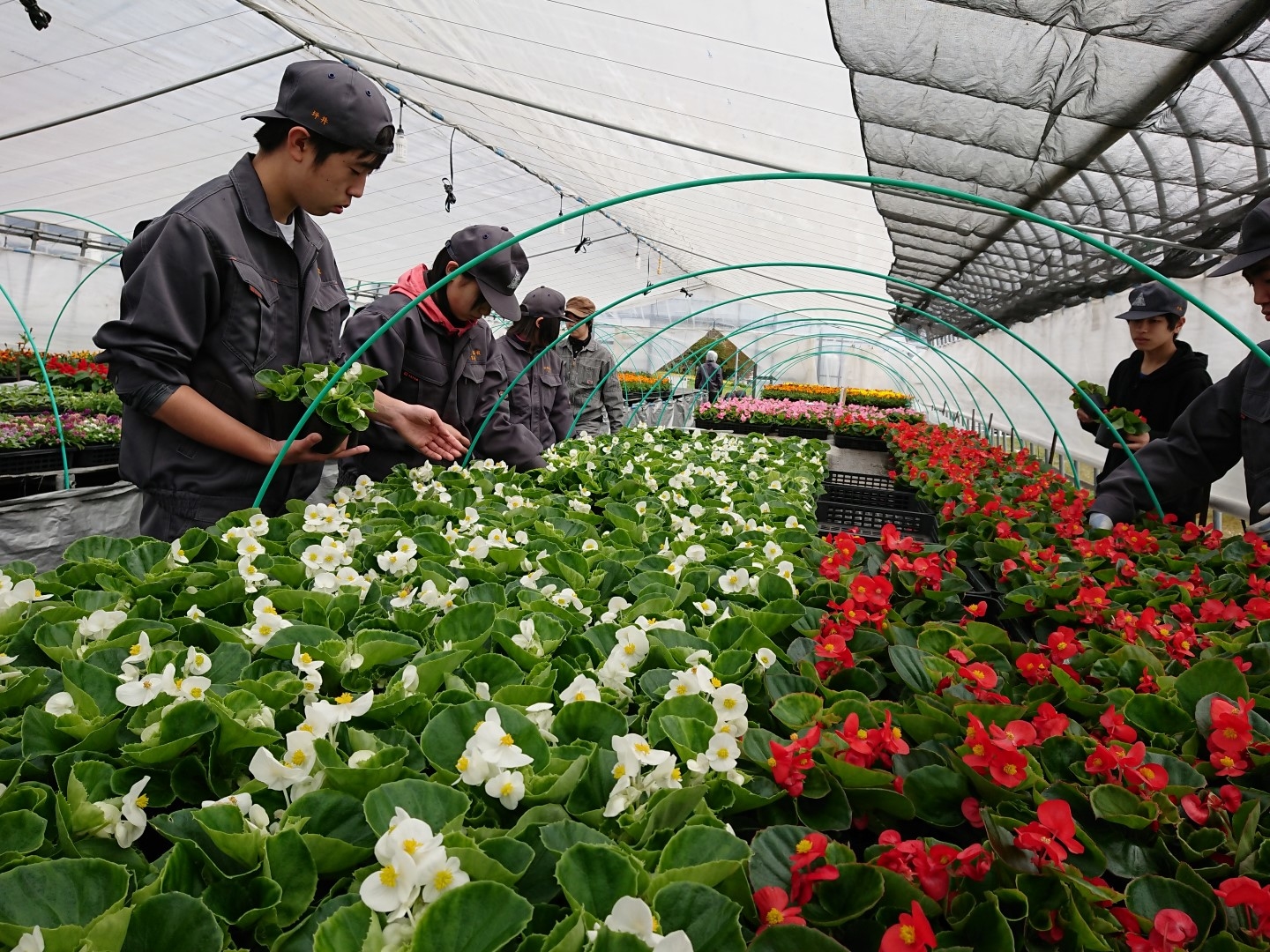 20190509_soko_asaichi_5.JPG