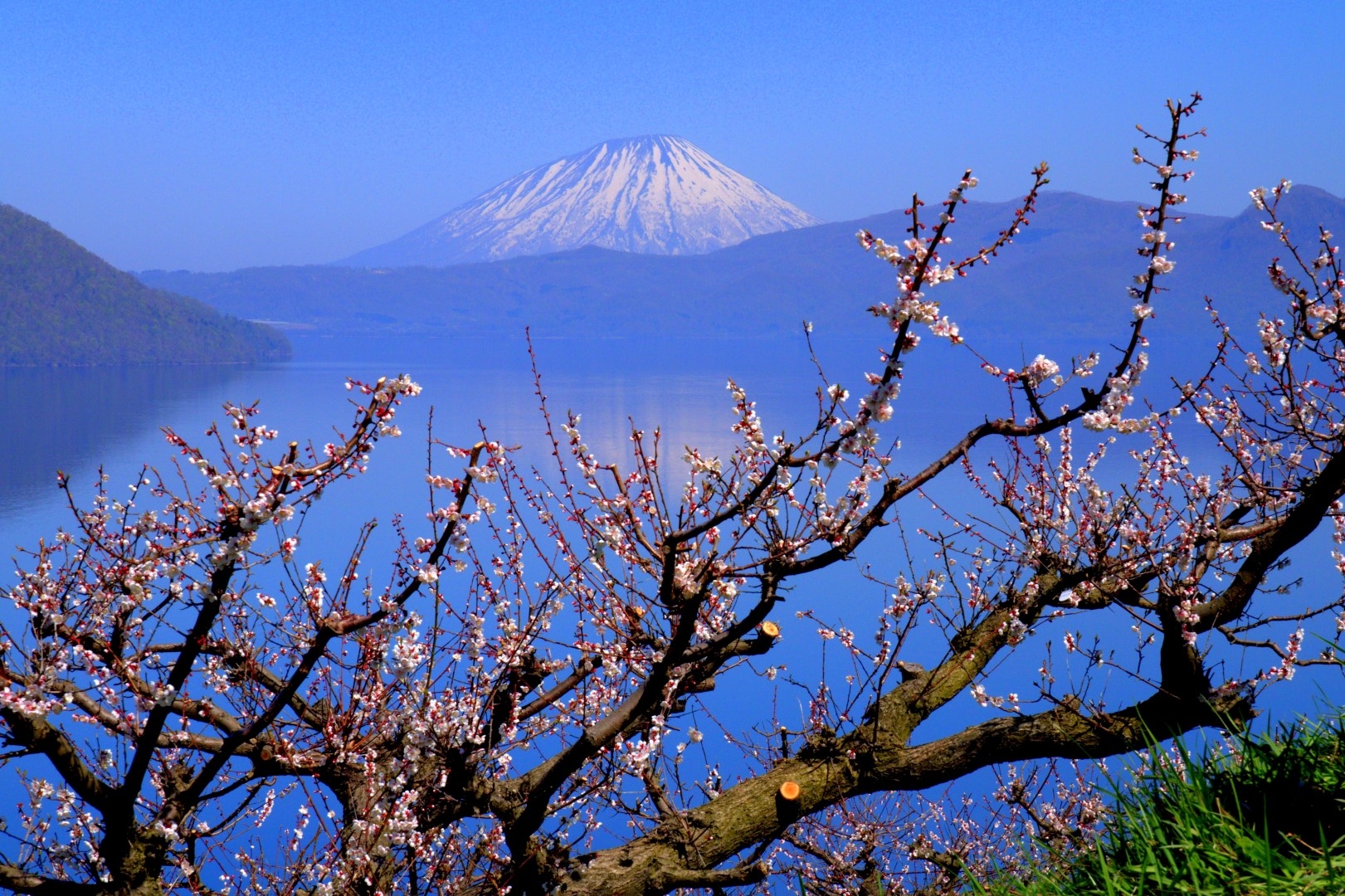 H30_Sokitaka_photocon_11_ume.jpg