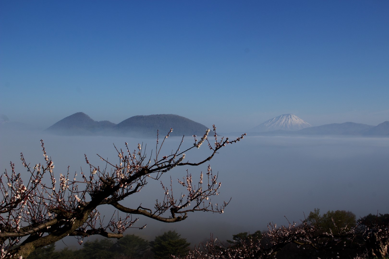 H30_Sokitaka_photocon_13_sima.jpg